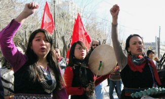 Nuevamente un empresario usurpando tierras mapuches 