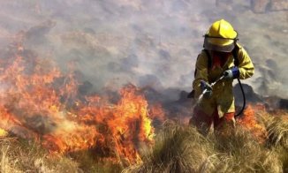 Incendios en Córdoba: la lucha de brigadistas por salvar el monte nativo