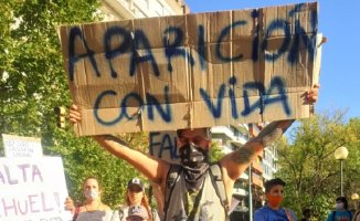 Día de la visibilidad Trans: Mar del Plata salió a las calles para exigir la aparición de Tehuel