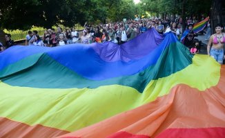 Sábado 1° de febrero: acciones globales en apoyo a Argentina contra los discursos de odio de Milei