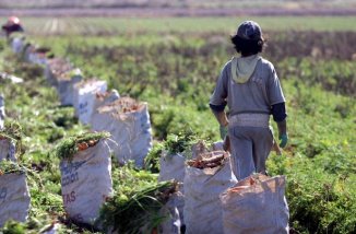 Tunuyán: Trabajadores rurales en condiciones de explotación laboral extrema