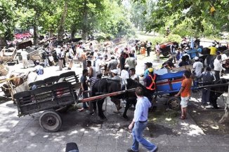 La Policía mató a itakazos a un joven carrero 