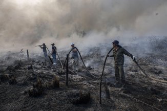 Fuego en Corrientes: Valdés pide ayuda a EE.UU. y prepara asistencia para productores rurales