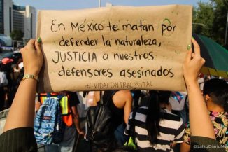 El peligro de ser ambientalista en México: 25 asesinados en 2021