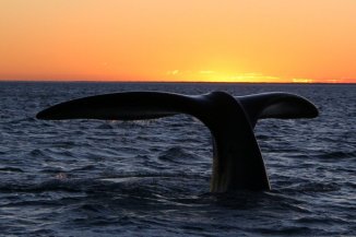 Calentamiento global y récord de temperatura oceánica