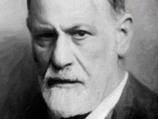 Freud y la cuestión homosexual 