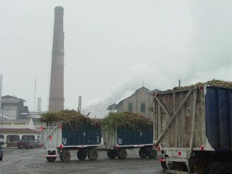 Fraude con los Repro y caza de brujas en el Ingenio San Juan