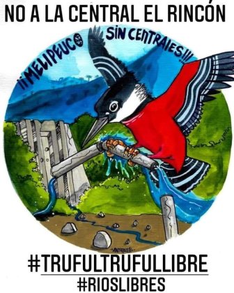 La defensa Truful Truful: La lucha contra el proyecto hidroeléctrico que amenaza territorio mapuche en Melipeuco