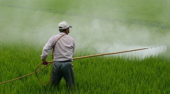 Convocatoria de Pueblos Fumigados y por la Agroecología al Primer Encuentro de los corredores de Ruta 5 y 7 y alrededores