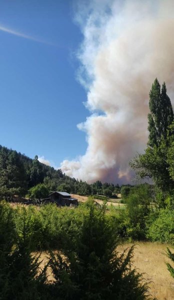 Incendio forestal descontrolado en el Cajón del Azul, de El Bolsón: evacúan turistas y zonas cercanas