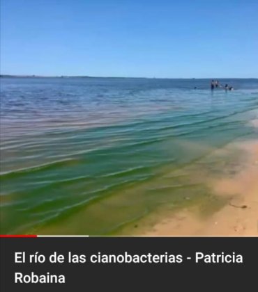 Patricia Robaina y “El río de las cianobacterias”