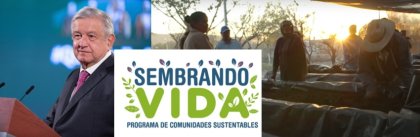 Migrantes, ¿moneda de cambio en programa Sembrando Vida?