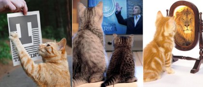 Gatito recontra mimoso: las corporaciones América y Techint ganan poder en el gobierno de Milei