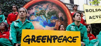 Greenpeace México: Despidos injustificados y violación de derechos laborales 