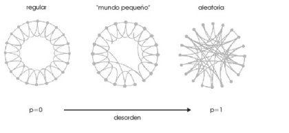 Redes complejas: Una incursión de las ciencias duras en la investigación de la sociedad