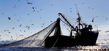  Pescadores Artesanales volverán a la calle ante prolongación del proceso legislatvo