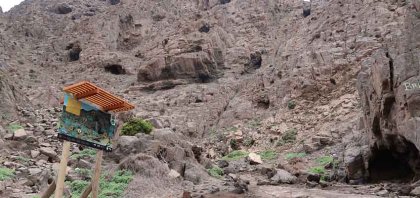 Amenaza: a la biodiversidad de la Reserva Nacional de la Chimba en Antofagasta