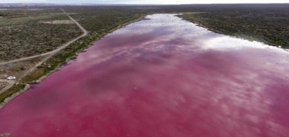 La laguna “rosa”: muestra de la contaminación industrial