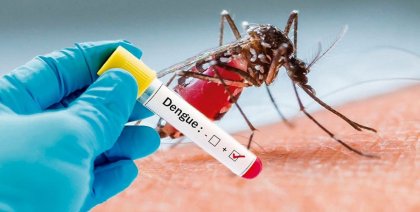 Dengue: una verdadera epidemia en suelo tucumano