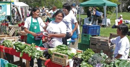 Cien mil agricultores familiares en el país se quedan sin monotributo social agropecuario