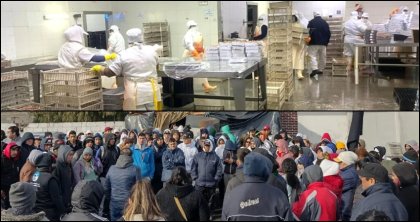 Langostino: oro para los empresarios, precarización y pobreza para los trabajadores 