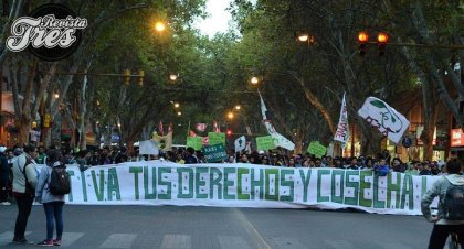 Agrupación Cannabicultora de Mendoza: “Nos parece muy falso que estemos hablando de leyes y todavía tengamos compañeros presos”