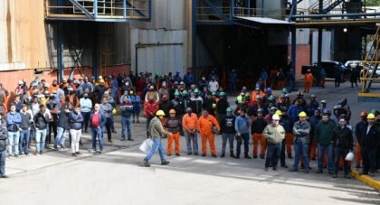 Oro blanco: el precio del azúcar está por las nubes, pero los salarios siguen por debajo de la pobreza