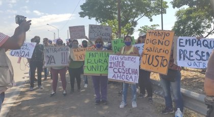 Jujuy: Uatre Ledesma reclama contra el ajuste de los planes intercosecha