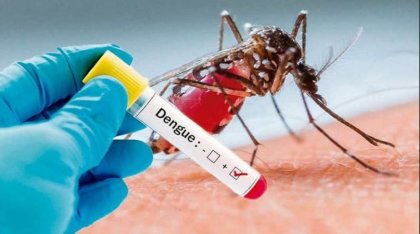 Siguen aumentando los casos de dengue, ya son 37 las víctimas fatales