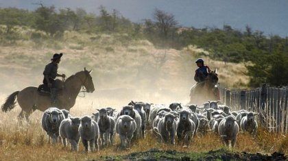 Santa Cruz: otro trabajador rural víctima de “Trata de personas y explotación laboral”