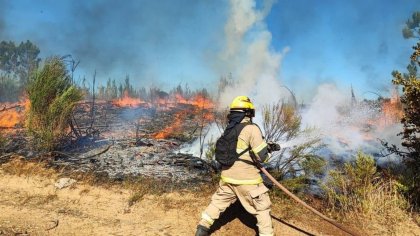 Enorme incendio en predios Celulosa Arauco y en tres regiones del sur