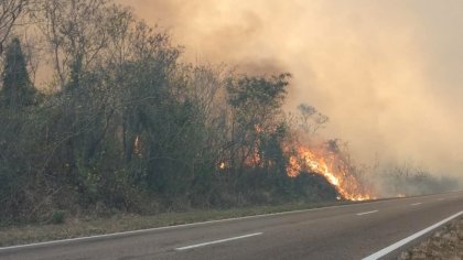 Yungas jujeñas bajo fuego: más de dos mil hectáreas se queman 