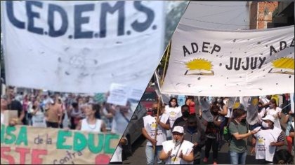 Cedems y ADEP van al paro contra el ajuste de Milei y Sadir