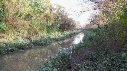 Peligra el humedal del arroyo Raggio