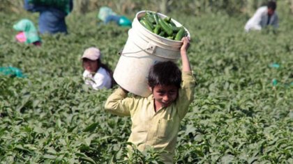 Día Mundial contra el Trabajo Infantil: los capitalistas son responsables