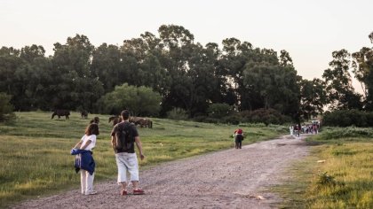 Peligra la reserva de la costa Quilmes-Avellaneda: Techint quiere instalar otro “Puerto Madero”