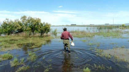 El campo estima pérdidas por U$S 2.200 millones debido a las inundaciones