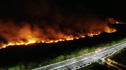 Más de 54 mil hectáreas consumidas por incendios forestales en México