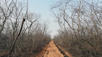 La crisis ambiental es política: impulsemos un plan de lucha anticapitalista