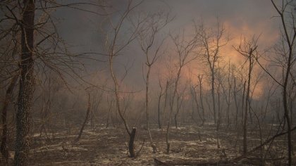 Un pedido de ayuda del Gobierno Autónomo de Charagua Iyambae