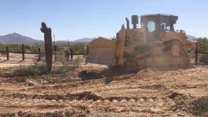 Destruyen a los "gigantes del desierto" para construir el muro de Trump