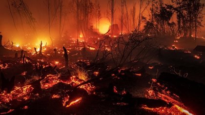 El planeta en llamas: 2019 con récord de incendios forestales y contaminación del aire