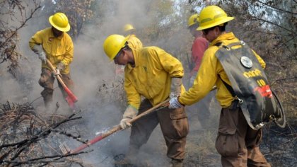 Brigadistas de CONAF inician paro indefinido por mejores condiciones laborales