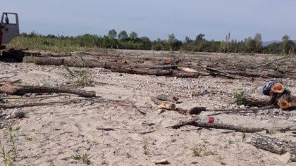 Dos millones de hectáreas de desmonte en Salta dejaron pobreza y falta de acceso al agua