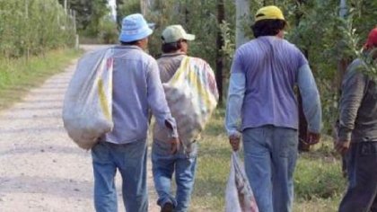 Brutal: con la cuarentena miles de trabajadores golondrina son abandonados por las empresas y la UATRE