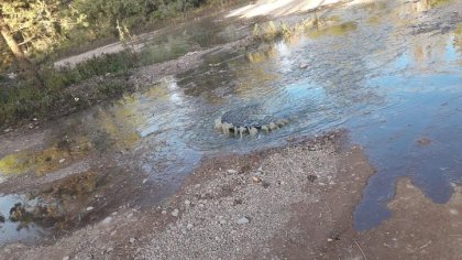 Vecinas de Lujan de Cuyo: "Nosotros convivimos con líquidos cloacales"