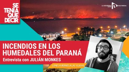 &#128293; INCENDIOS EN HUMEDALES DEL PARANÁ | Entrevista a Julián Monkes, lic. en Ciencias Ambientales #STQD - YouTube