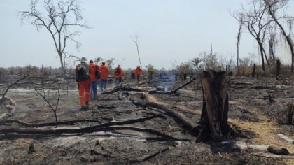 En medio de la pandemia y la crisis política, vuelve a arder la Chiquitanía