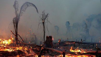 Nueva oleada de incendios y deforestación en el Amazonas en plena pandemia