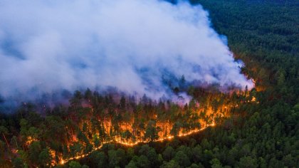 Siberia en llamas: se quemaron más de veinte millones de hectáreas